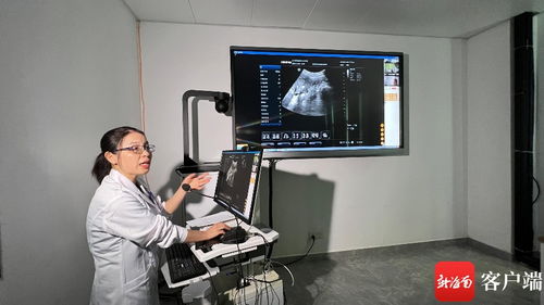 海南构建医疗集团一体化服务体系 共享诊疗与康复辅具适配服务新篇章